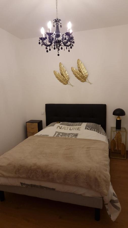 Appartement Cosy Centre Ville Roanne Exterior foto