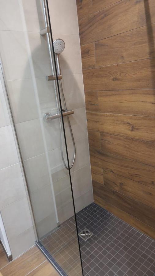Appartement Cosy Centre Ville Roanne Exterior foto
