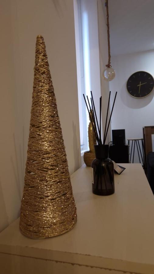 Appartement Cosy Centre Ville Roanne Exterior foto