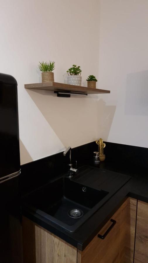 Appartement Cosy Centre Ville Roanne Exterior foto