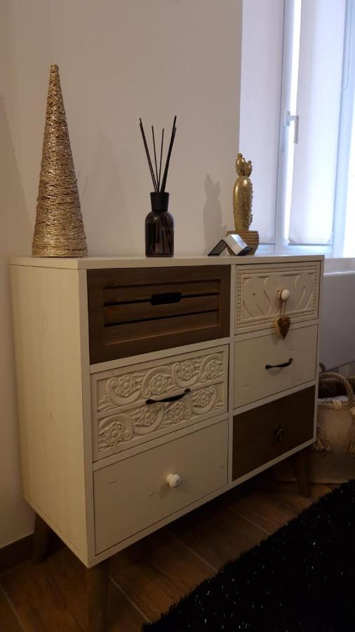 Appartement Cosy Centre Ville Roanne Exterior foto